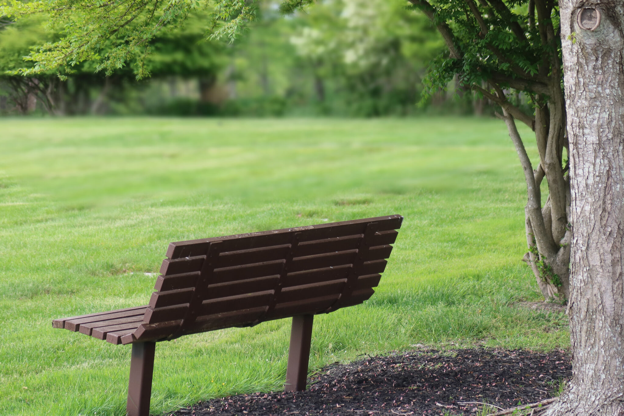 Stages of Grief - Symptoms of Grief